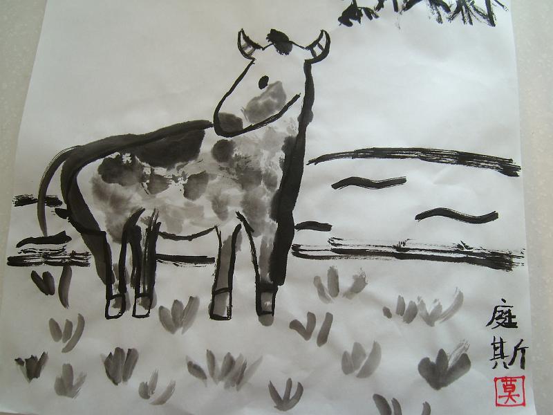cow (4).JPG
